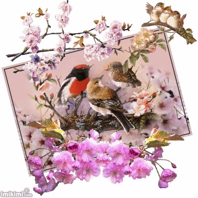 Bunt jigsaw puzzle