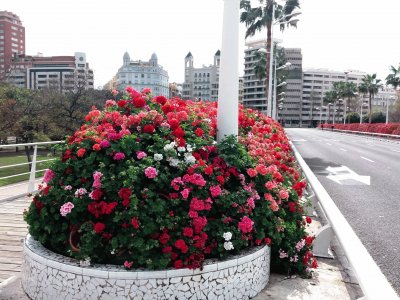 puente de las flores-valencia