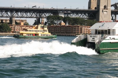 Sydney Harbour jigsaw puzzle