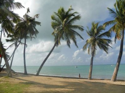 MaceiÃ³ - Brazil jigsaw puzzle