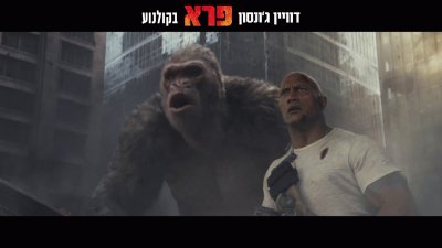 פאזל של ×“×•×•×™×Ÿ ×’ '× ×¡×•×Ÿ