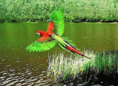 Imagem