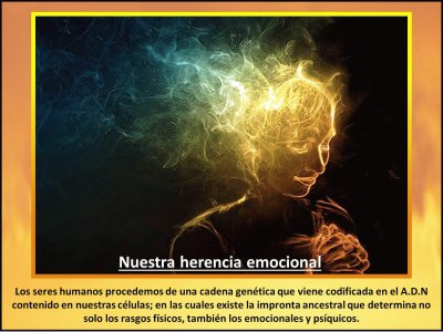 NUESTRA HERENCIA EMOCIONAL