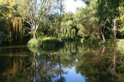 Etang dans le Lot