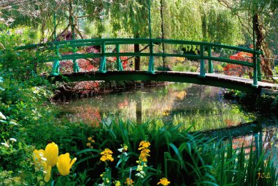 פאזל של Giverny pont japonais