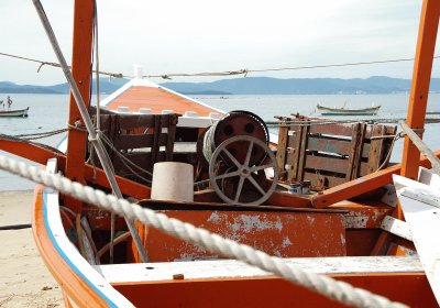 sÃ£o miguel V