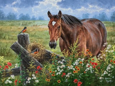 campo jigsaw puzzle