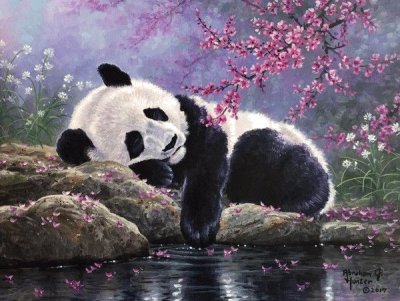 פאזל של panda