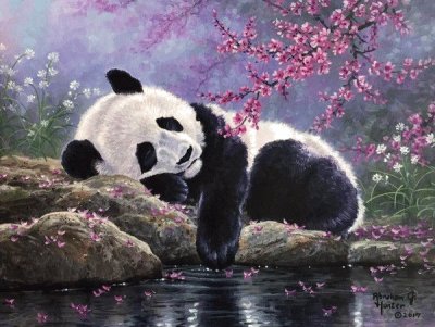 panda