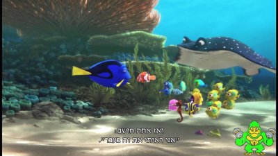 × ×ž×•
