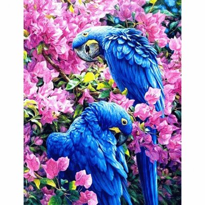 Bird jigsaw puzzle