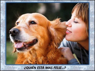 Â¿QUIÃ‰N ESTÃ MAS FELIZâ€¦?