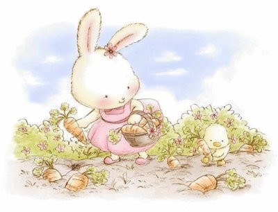 Rabbit