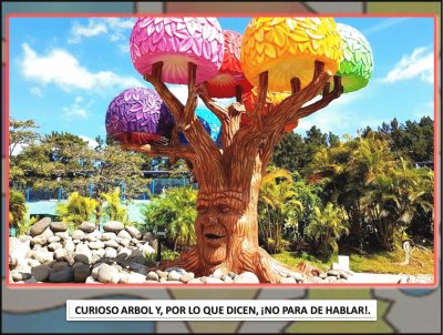 CURIOSO ARBOL Y, POR LO QUE DICEN, Â¡NO PARA DE HA