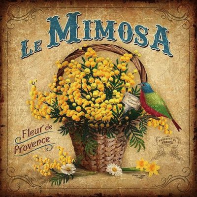 mimosa jigsaw puzzle