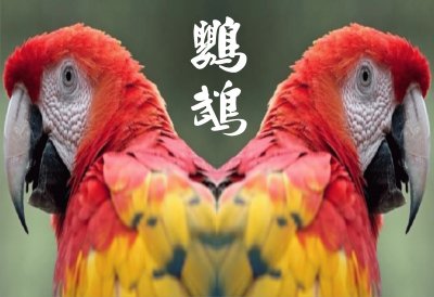 JSPuzzles-åœ–ç‰‡å»Š (å°ç¨±)