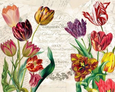 פאזל של tulipani