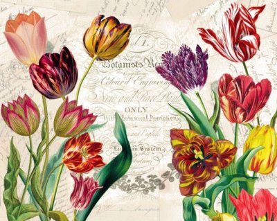 tulipani jigsaw puzzle