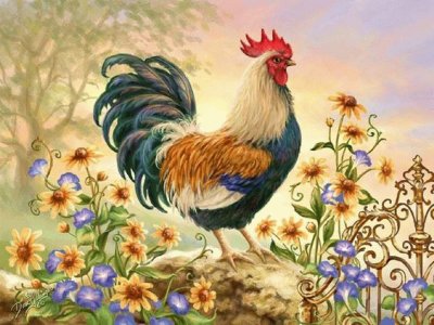 gallo jigsaw puzzle