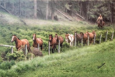 CABALLOS jigsaw puzzle