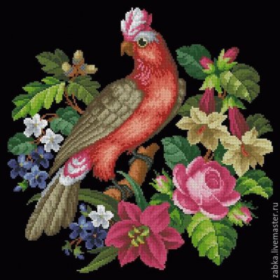 bird jigsaw puzzle