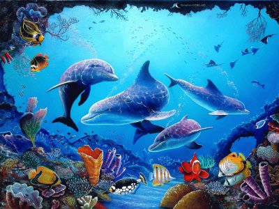 Delfin jigsaw puzzle