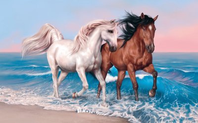 Caballo jigsaw puzzle