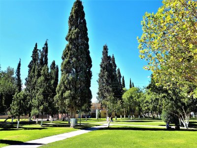 Campus Universitario Uno, Ciudad de Chihuahua. jigsaw puzzle