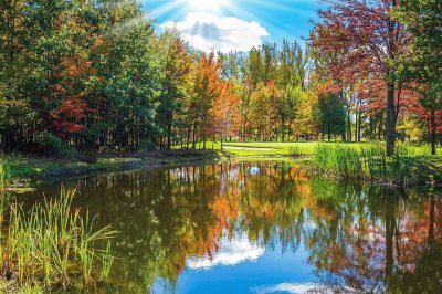 Qiet Lake