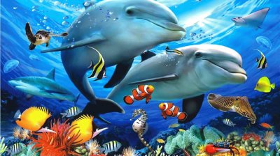 Ocean Life jigsaw puzzle