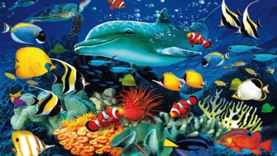 Ocean Life