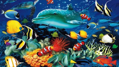 Ocean Life jigsaw puzzle