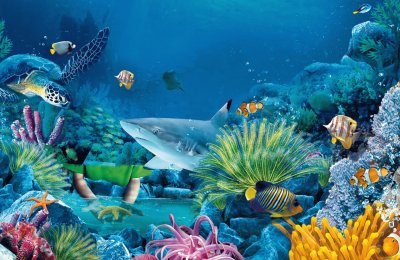 Ocean Life jigsaw puzzle