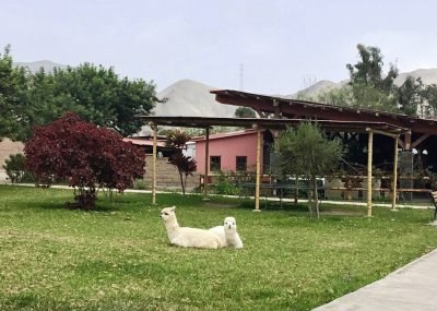 Casa Verde Hotel Ecologico - Mala (Sur de Lima )