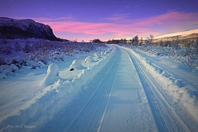 פאזל של Dovrefjell, Norway