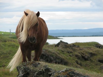 Iceland jigsaw puzzle