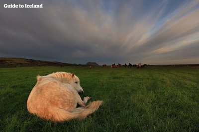 פאזל של Iceland