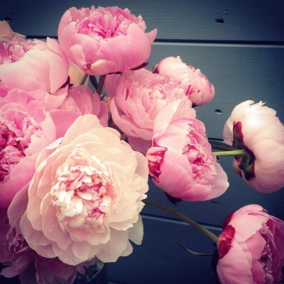 flores