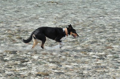 Tagliamento 08.09