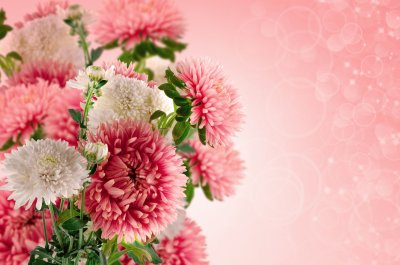 Flowers jigsaw puzzle