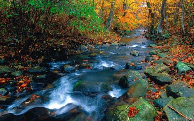 Water jigsaw puzzle