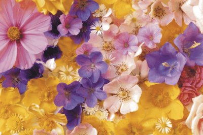 Flowers jigsaw puzzle