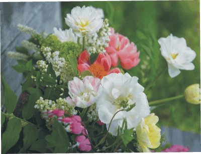 Flowers jigsaw puzzle