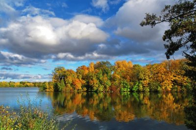 פאזל של automne au bord de l 'eau