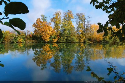 automne en bord de Marne