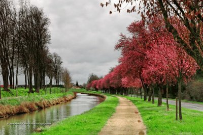 פאזל של canal de l 'Ourq