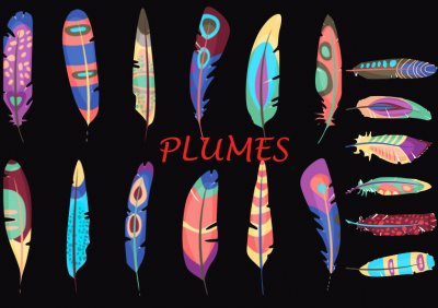 Plumes jigsaw puzzle