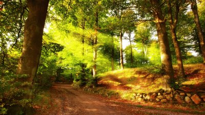 naturaleza