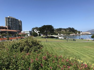 פאזל של Park in San Francisco