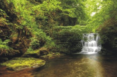 פאזל של waterfall